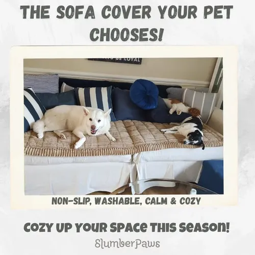 Dropshipping ad example